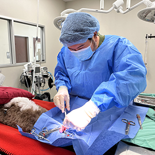 student wearing theatre gown performing surgery